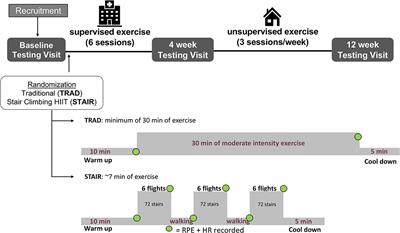 Brief Vigorous Stair Climbing Effectively Improves Cardiorespiratory Fitness in Patients With Coronary Artery Disease: A Randomized Trial